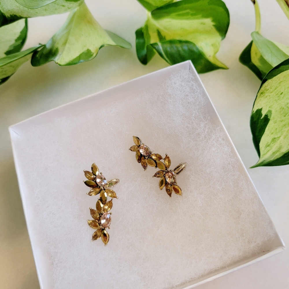 Gold Ear Climber Earrings